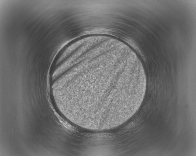 X0000060790988200512011701