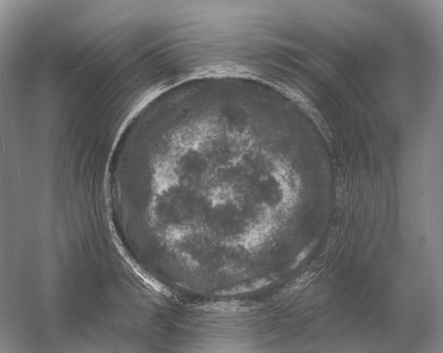 X0000060790990200512011701