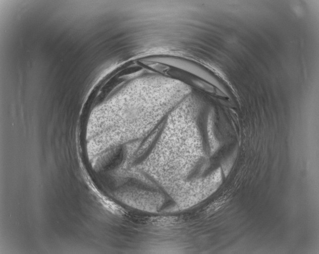 X0000060790991200512011701