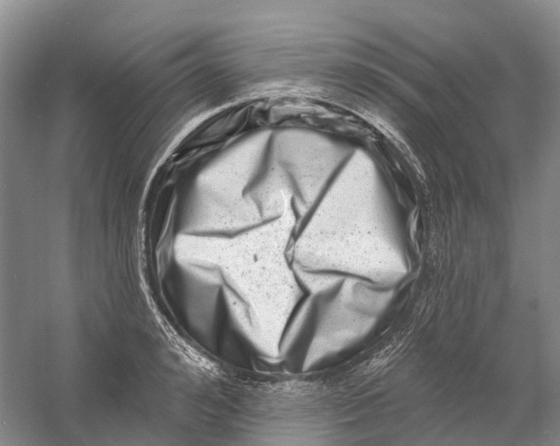 X0000060790992200512011701