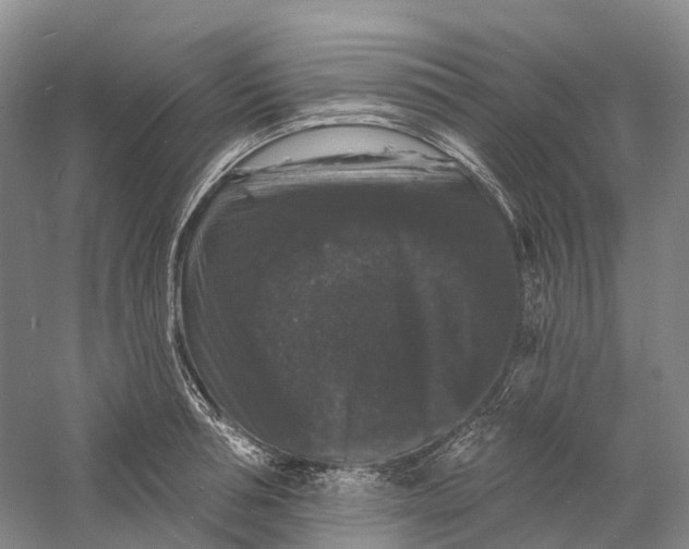 X0000060790994200512011701