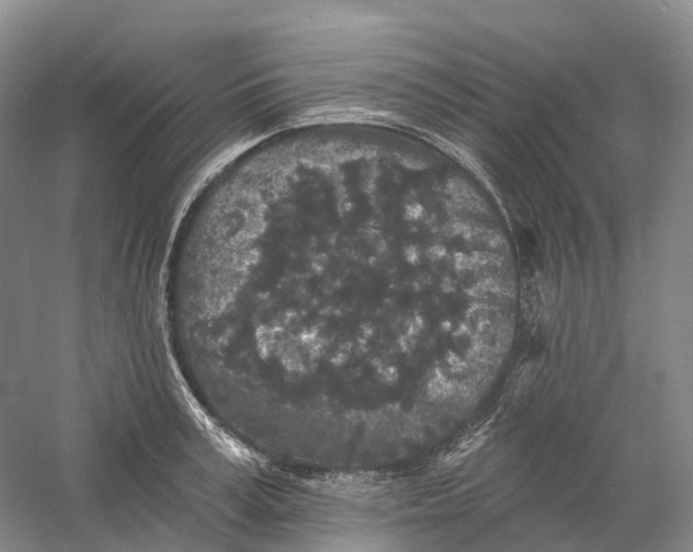 X0000060790995200512011701