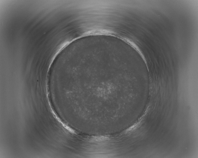 X0000060790997200512011701