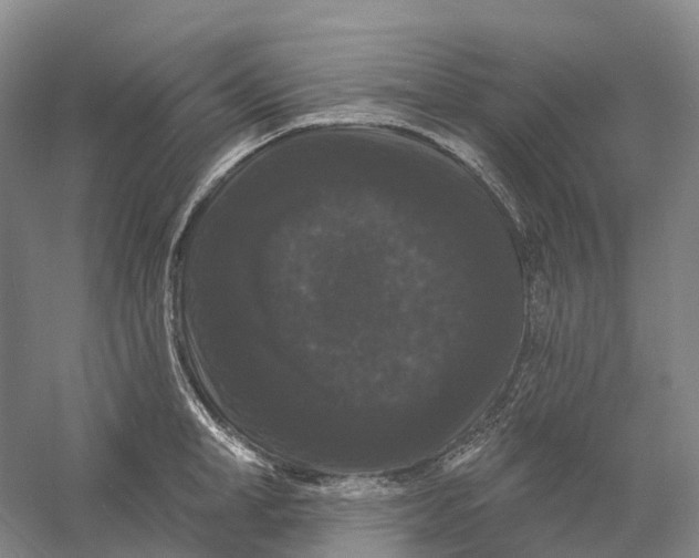 X0000060790998200512011701