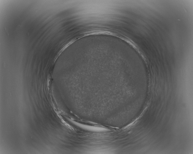 X0000060791001200512011701