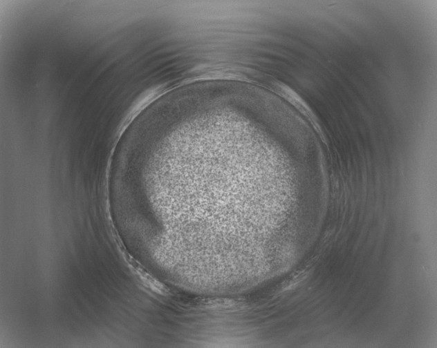 X0000060791002200512011701