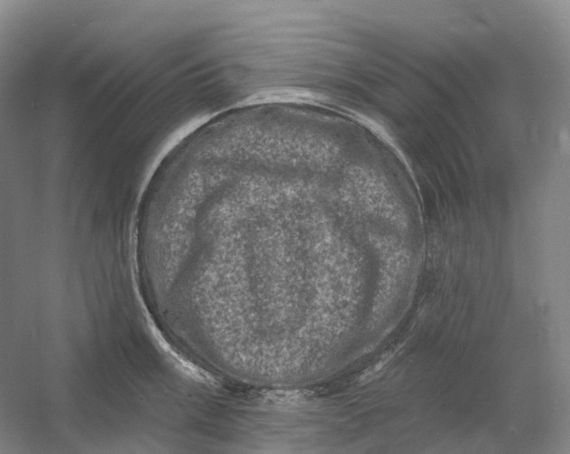 X0000060791003200512011701