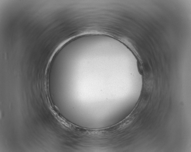 X0000060791004200512011701