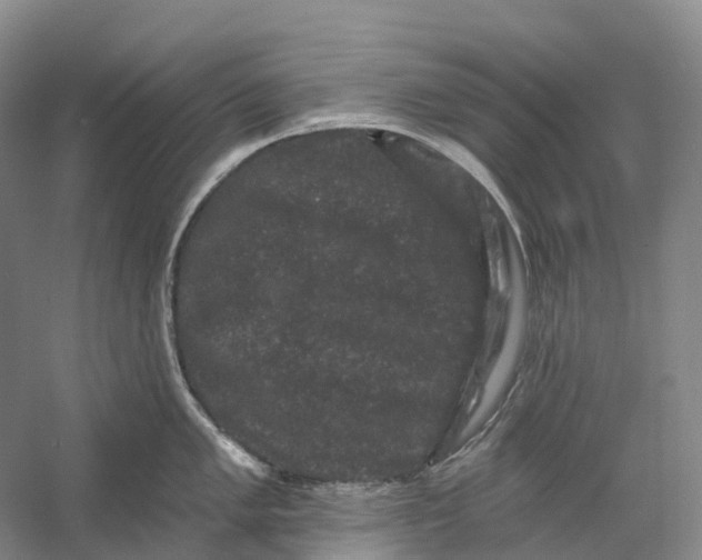 X0000060791005200512011701