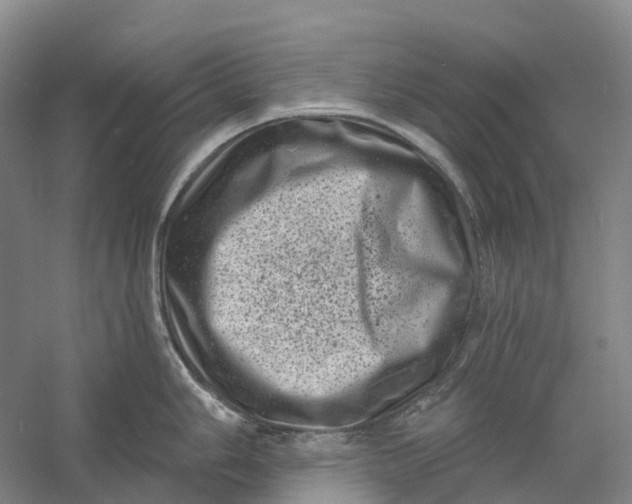 X0000060791006200512011701