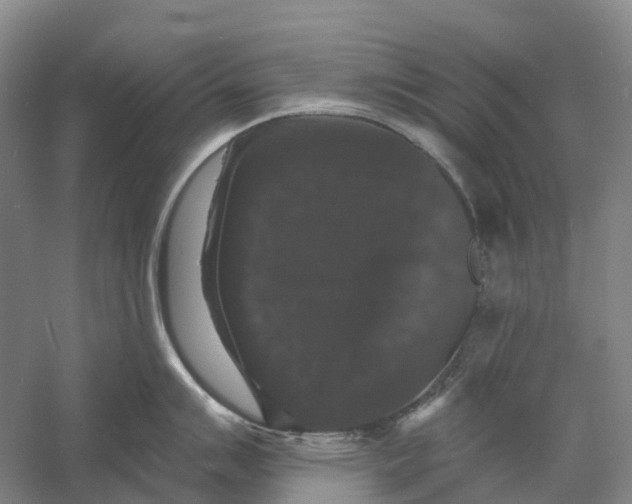 X0000060791007200512011701