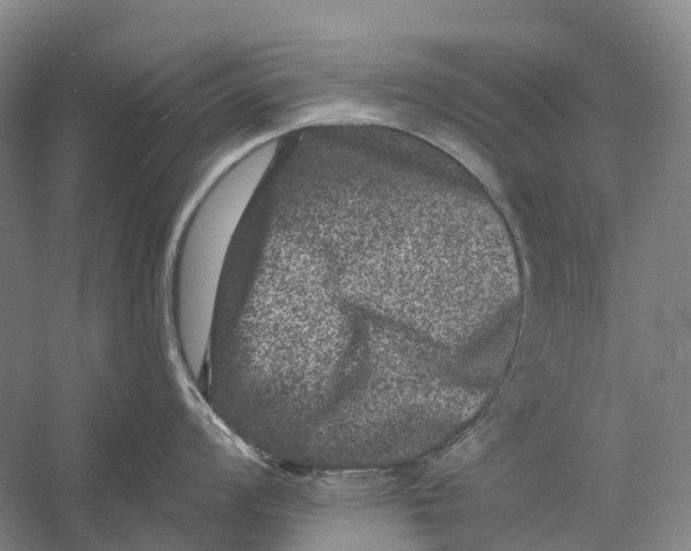 X0000060791008200512011701