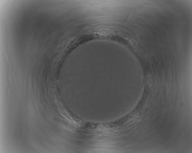 X0000060791009200512011700