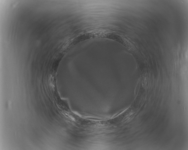 X0000060791010200512011700