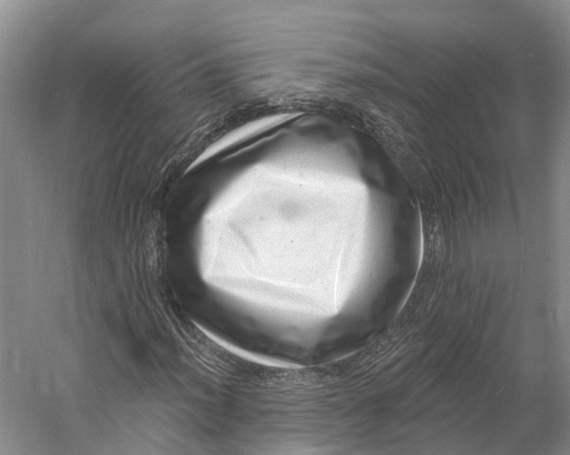 X0000060791012200512011700