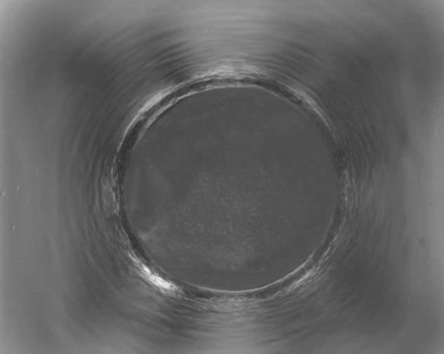 X0000060791018200512011700