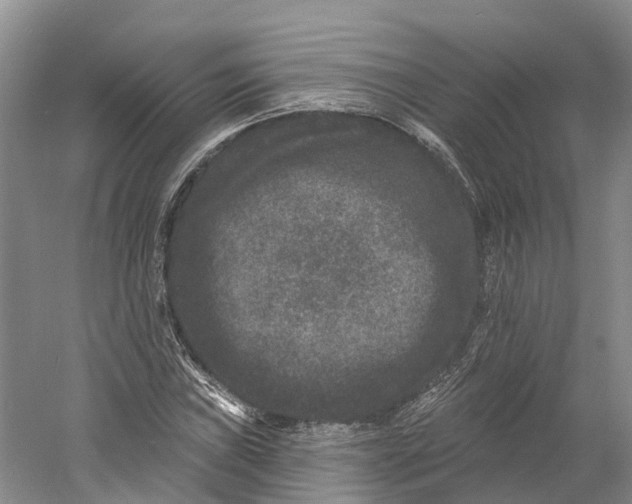 X0000060791019200512011700