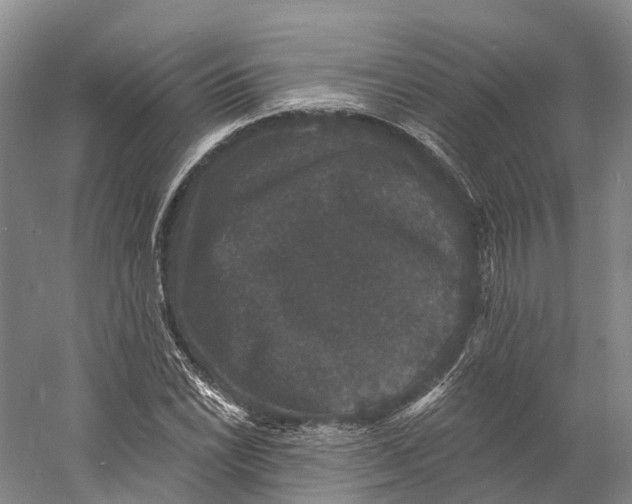 X0000060791022200512011700