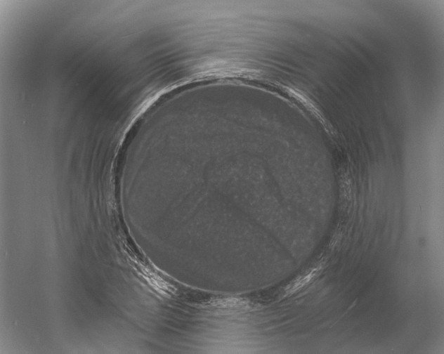 X0000060791023200512011700