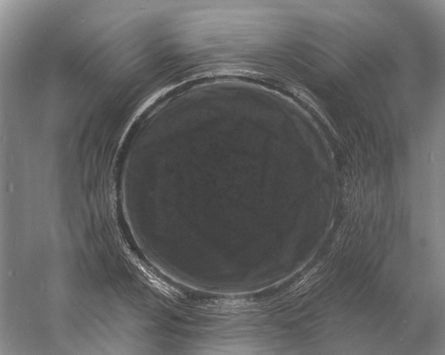 X0000060791024200512011700