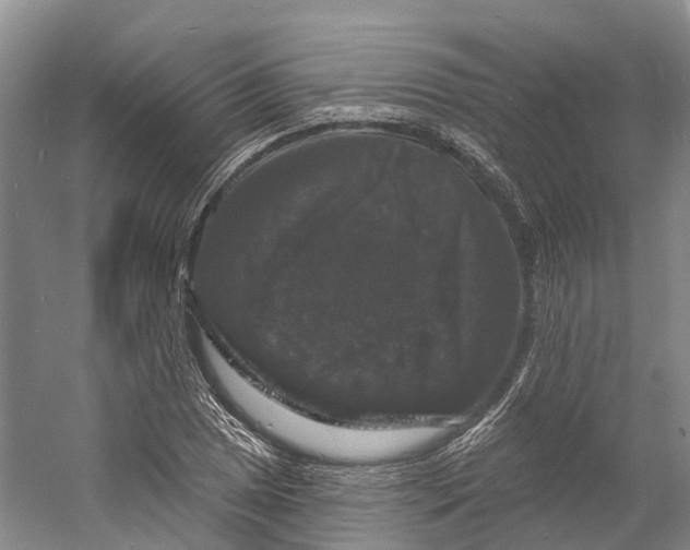 X0000060791025200512011700