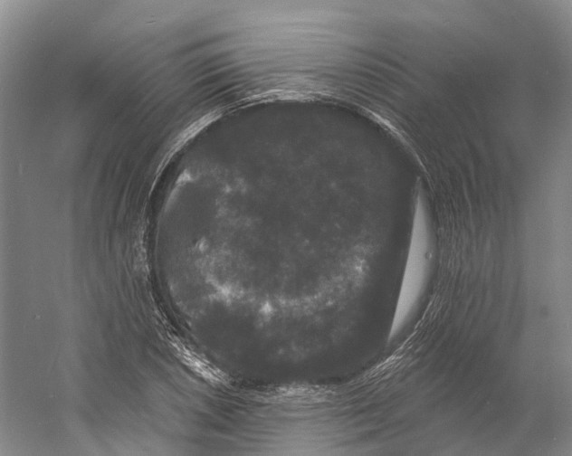 X0000060791026200512011700