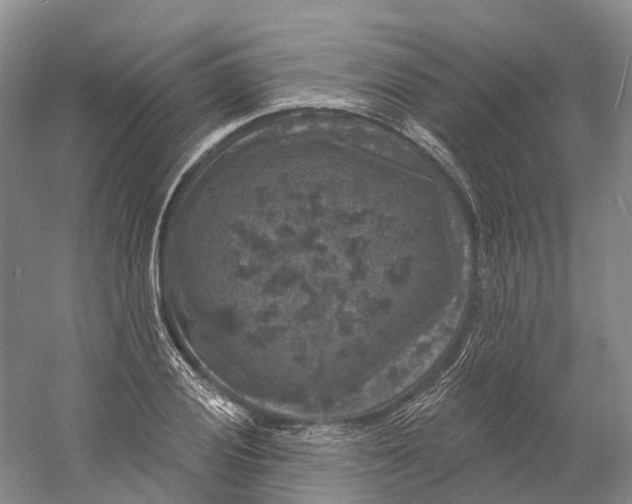 X0000060791028200512011700