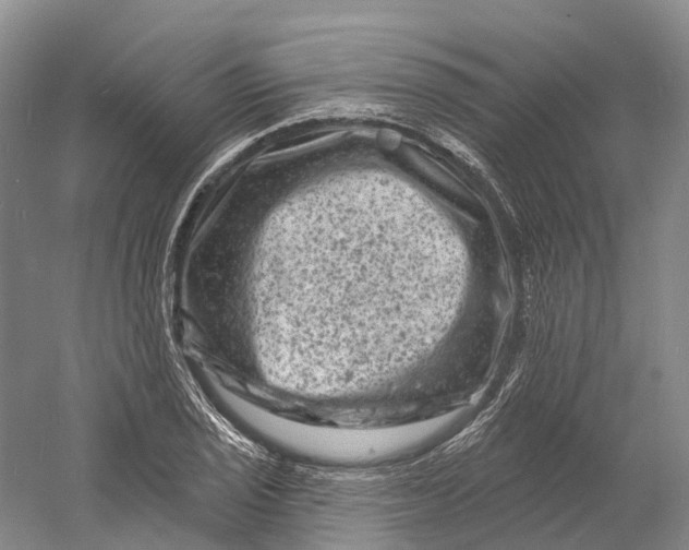 X0000060791029200512011700