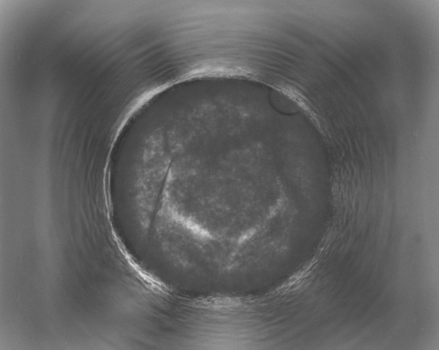 X0000060791030200512011700