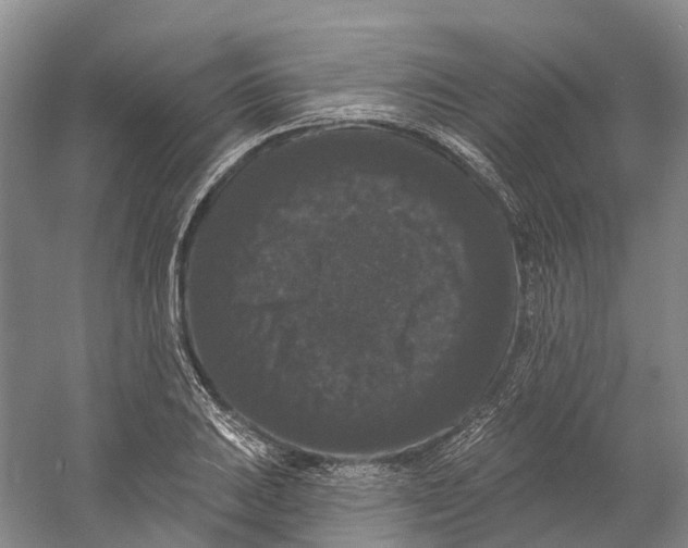 X0000060791031200512011700