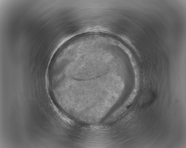 X0000060791032200512011700