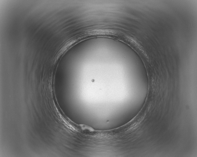 X0000060791033200512011700