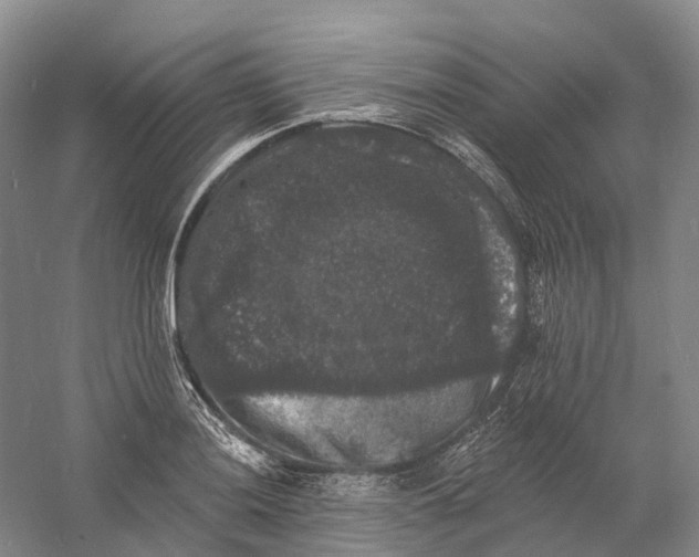 X0000060791036200512011700