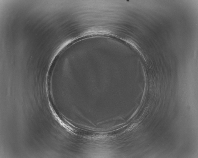 X0000060791038200512011700