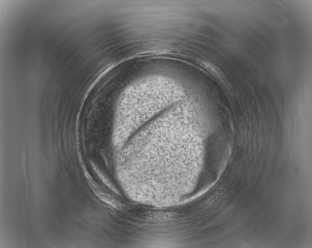 X0000060791039200512011700