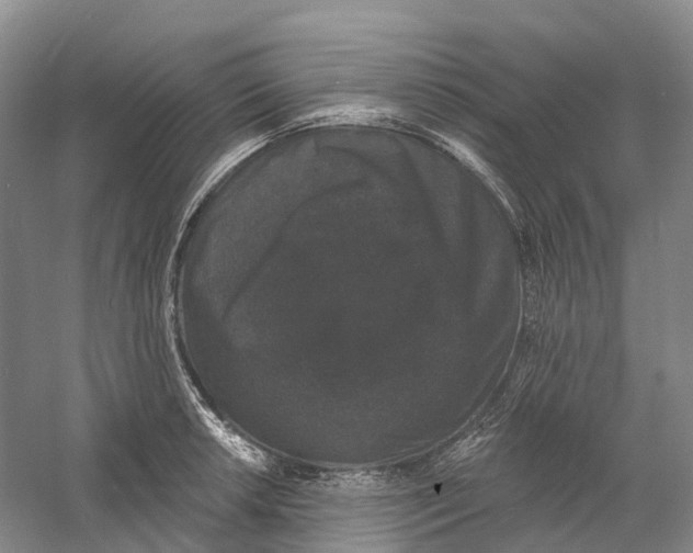 X0000060791042200512011700