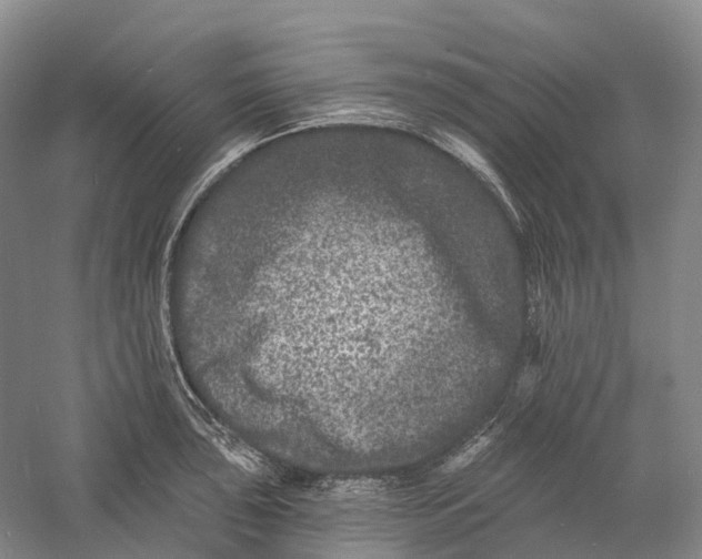 X0000060791043200512011700