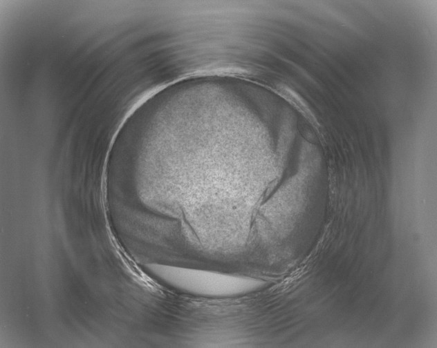 X0000060791044200512011700