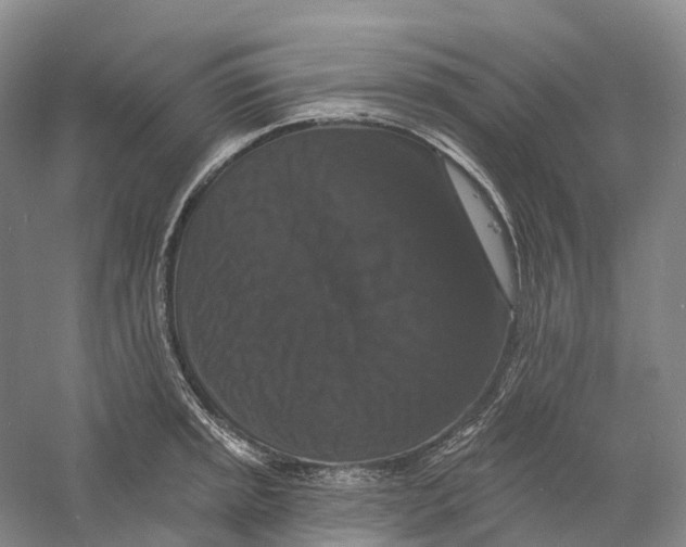 X0000060791045200512011700