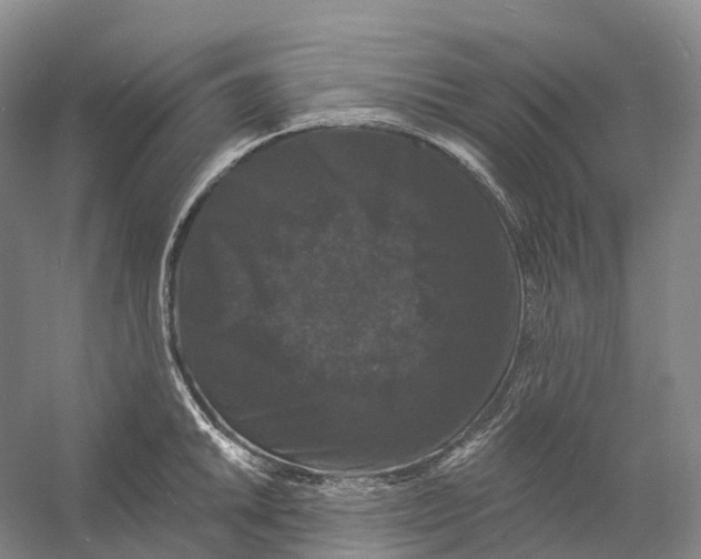 X0000060791046200512011700