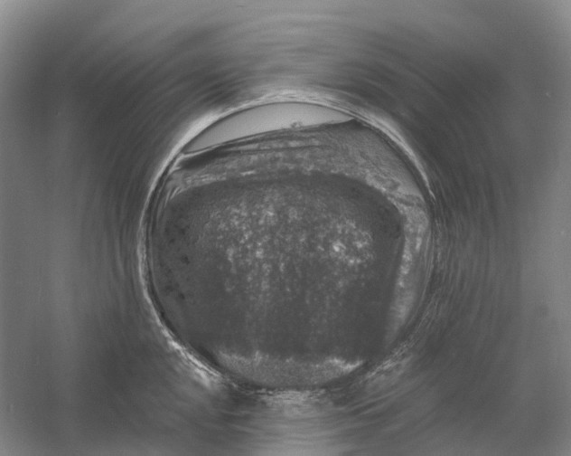 X0000060791048200512011700