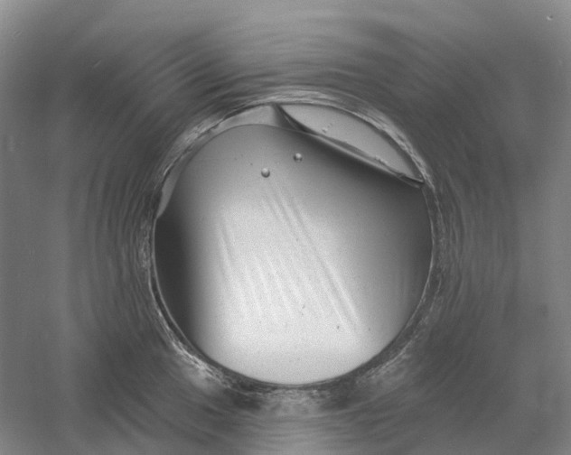 X0000060791049200512011700