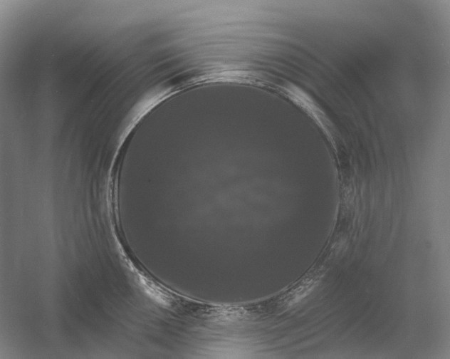 X0000060791050200512011700