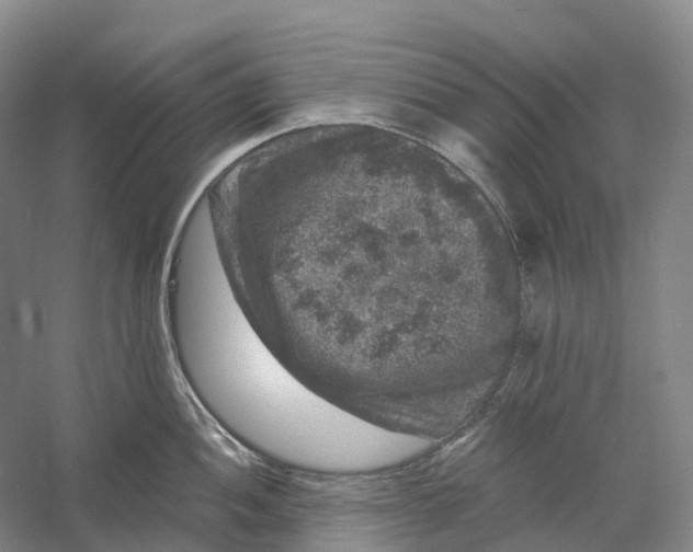 X0000060791052200512011701