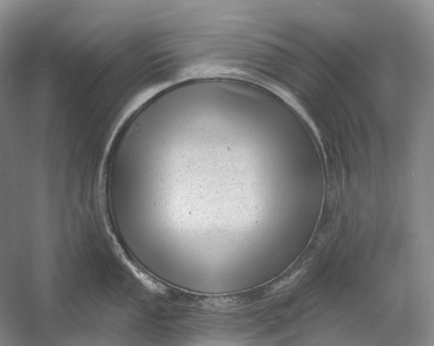 X0000060791053200512011701