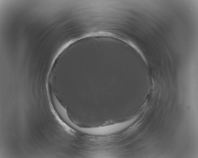 X0000060791054200512011701