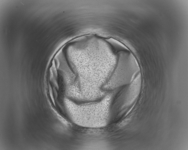 X0000060791056200512011701