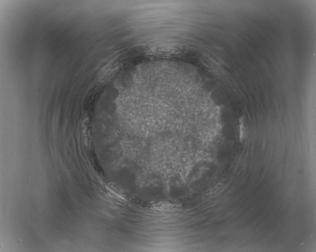 X0000060791059200512011700