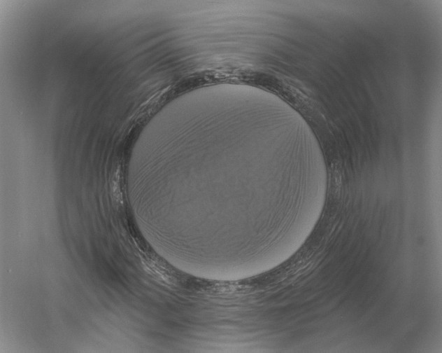 X0000060791060200512011700