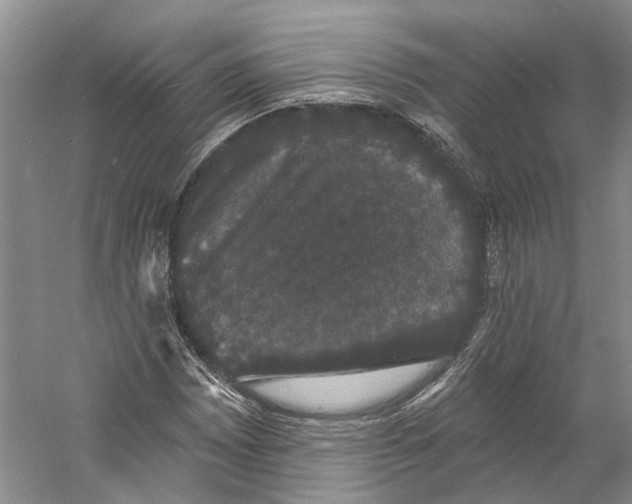 X0000060791065200512011700